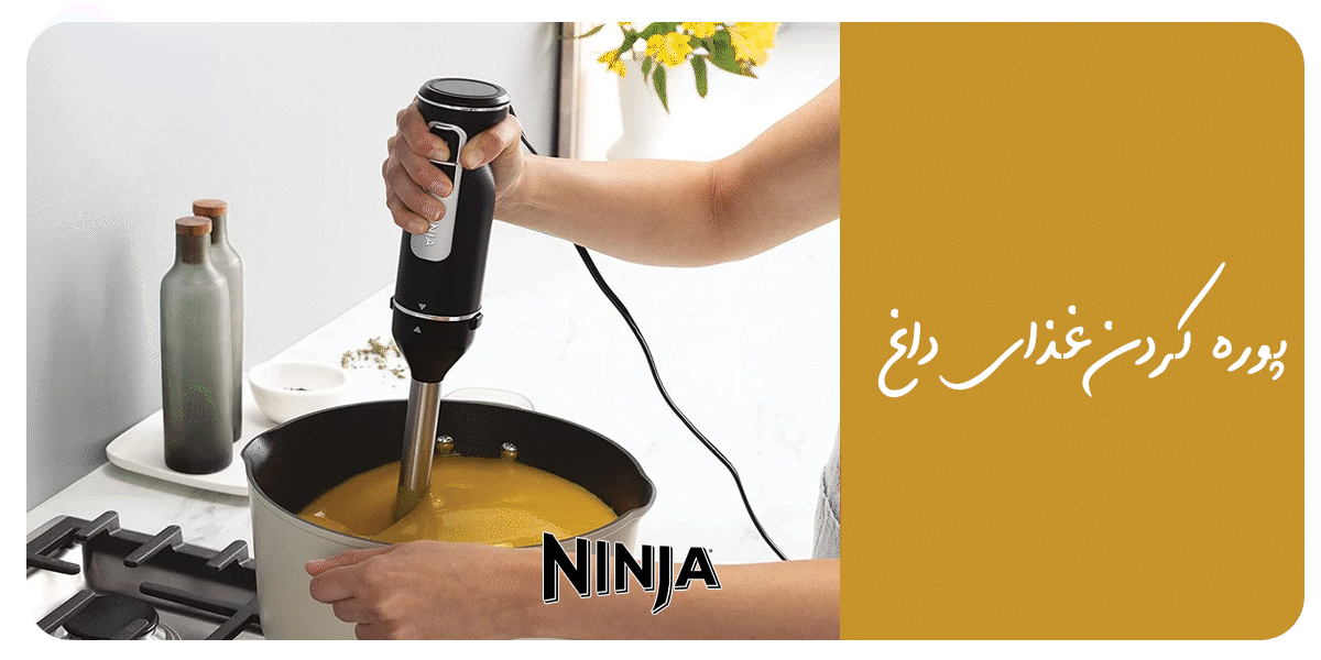 سرخ کن فیلیپس