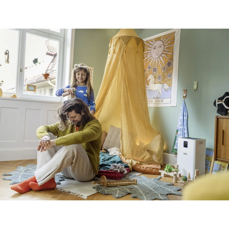 دستگاه تصفیه کننده هوا کرشر مدل AF 20